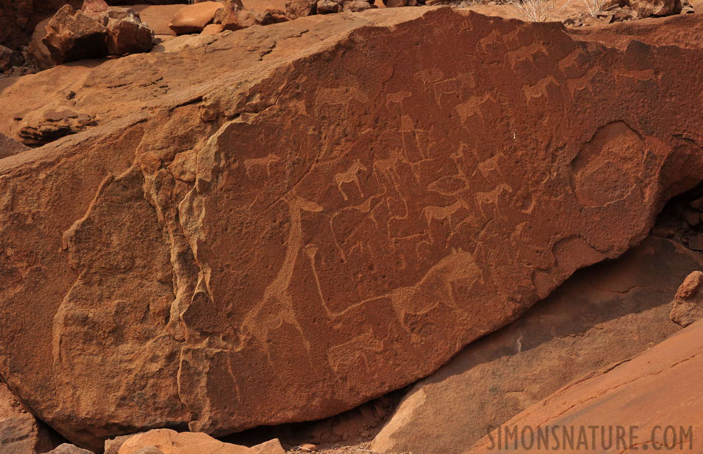 San People Rock Engravings [65 mm, 1/400 sec at f / 11, ISO 400]